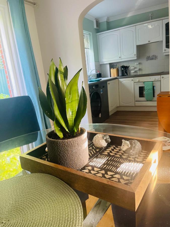 Tanglewood House Abergavenny With Private Parking Villa Екстериор снимка